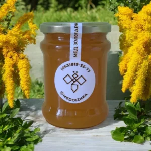 Мед Золотарника